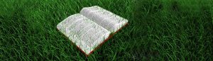 Ein spannendes Buch schreiben - die 10 besten Tipps.